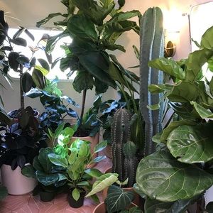 Meet your Posher, Carmen